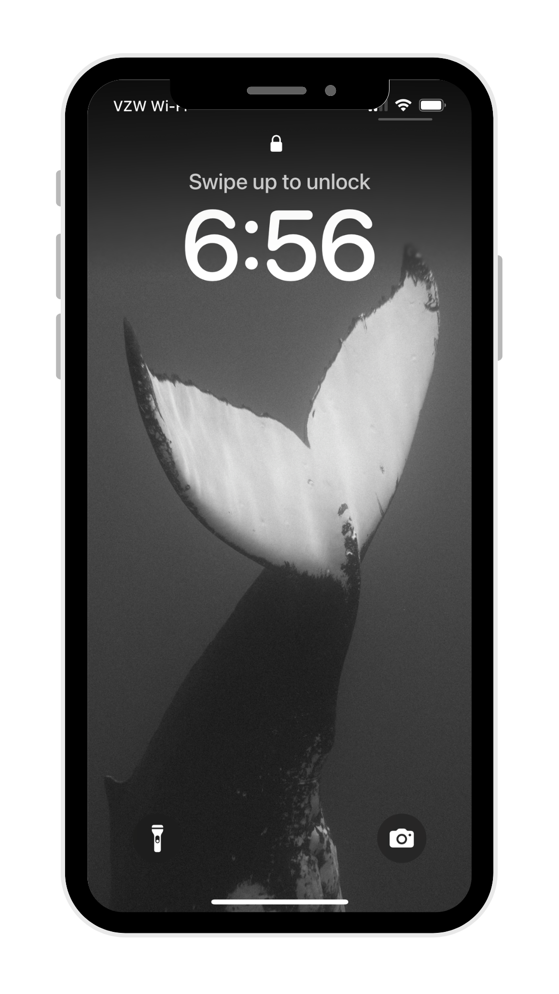 Black & White Whale Phone Wallpaper Pack - Eua '23 Collection