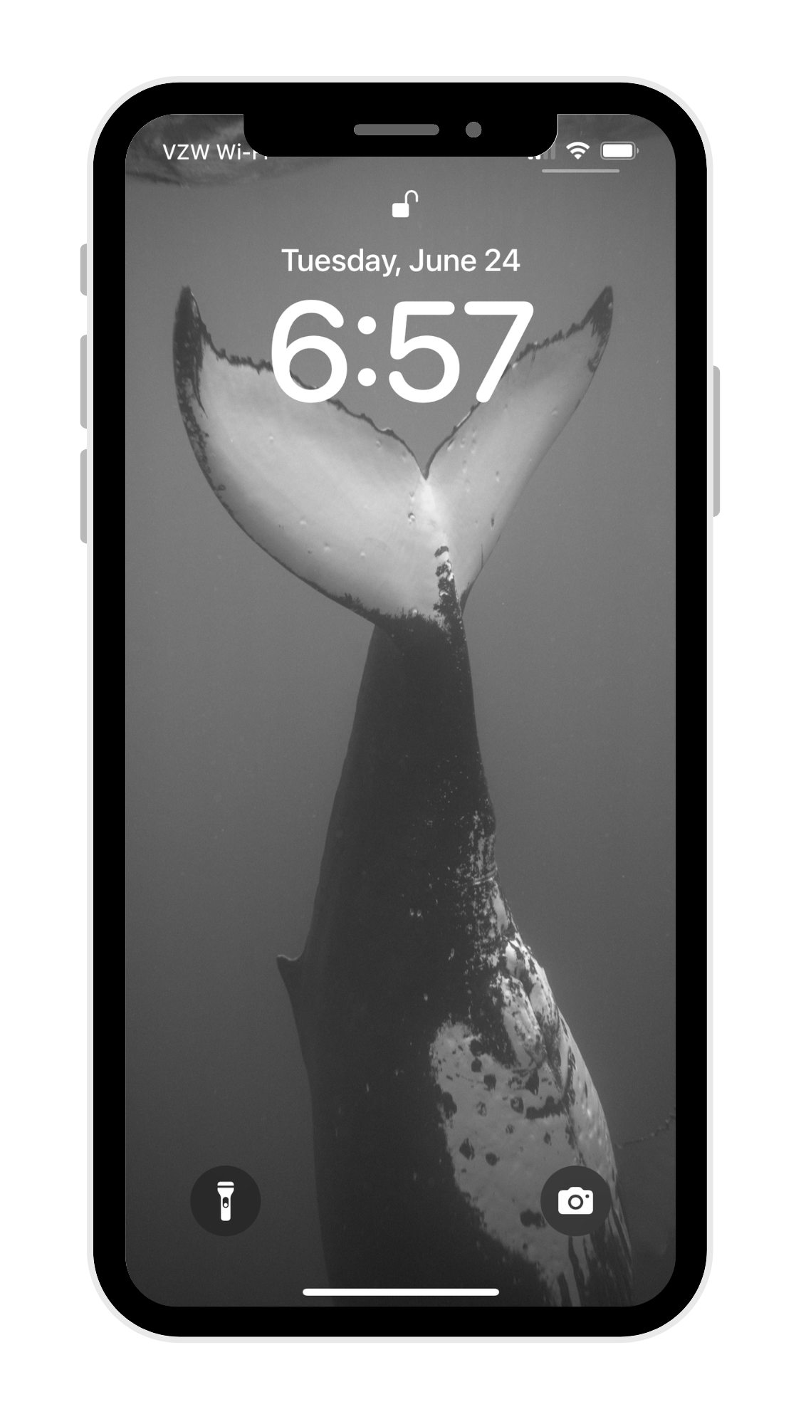 Black & White Whale Phone Wallpaper Pack - Eua '23 Collection