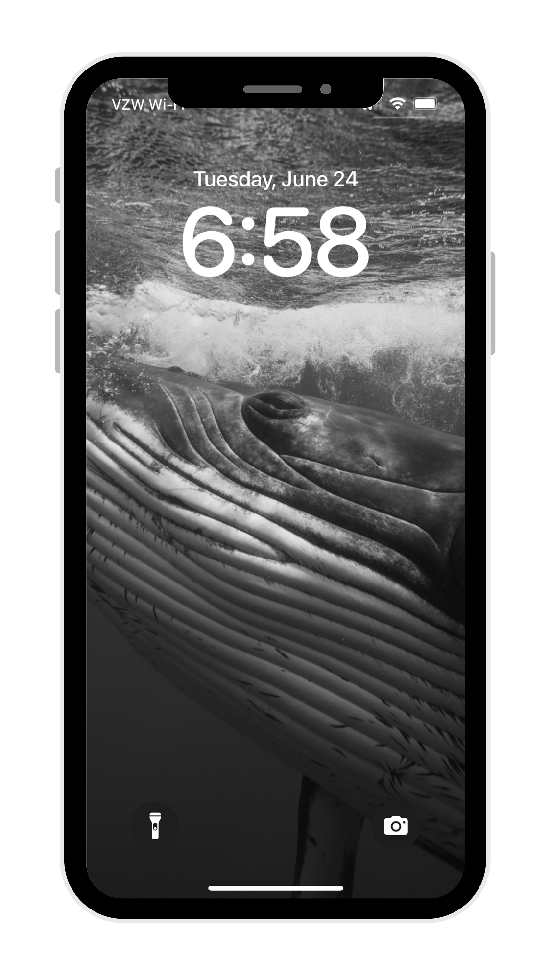 Black & White Whale Phone Wallpaper Pack - Eua '23 Collection