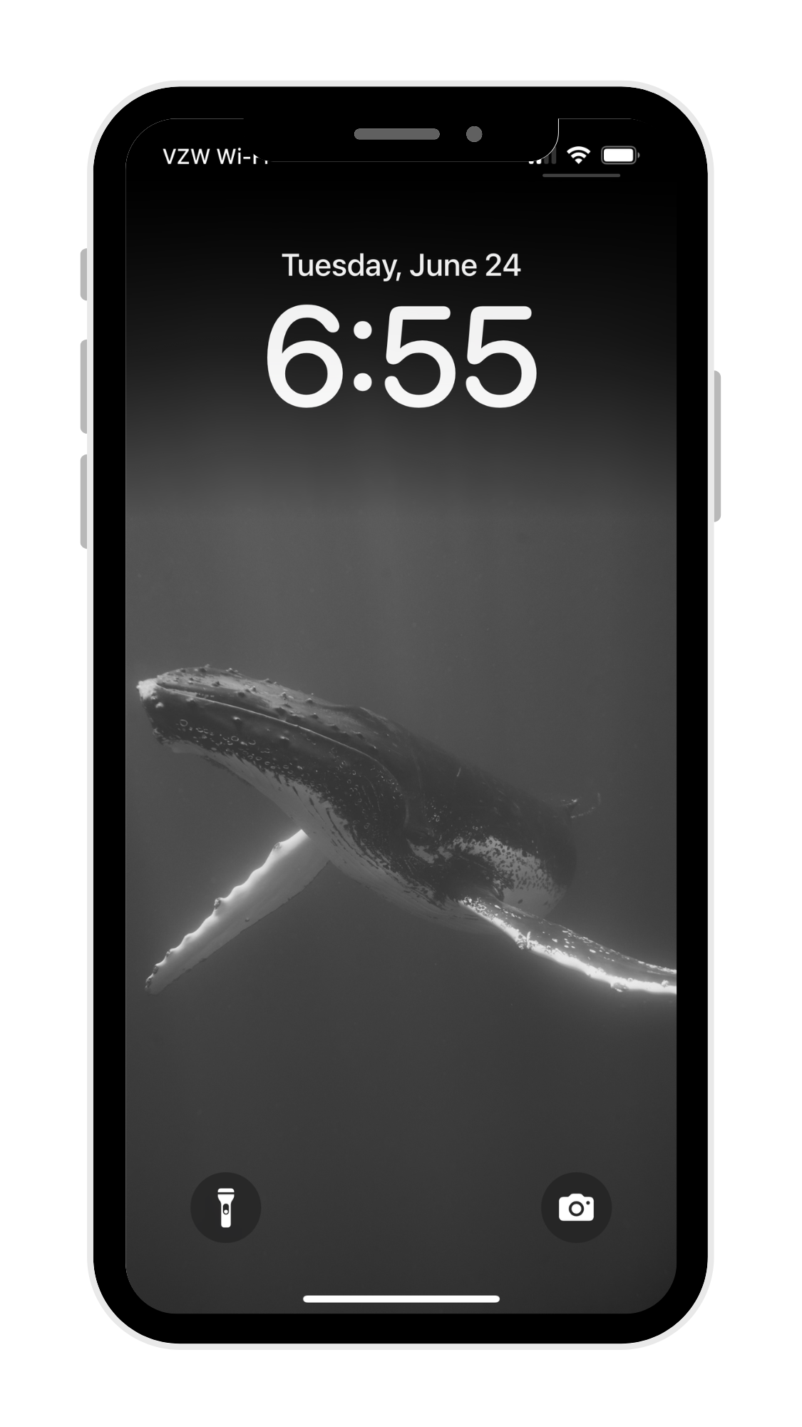 Black & White Whale Phone Wallpaper Pack - Eua '23 Collection