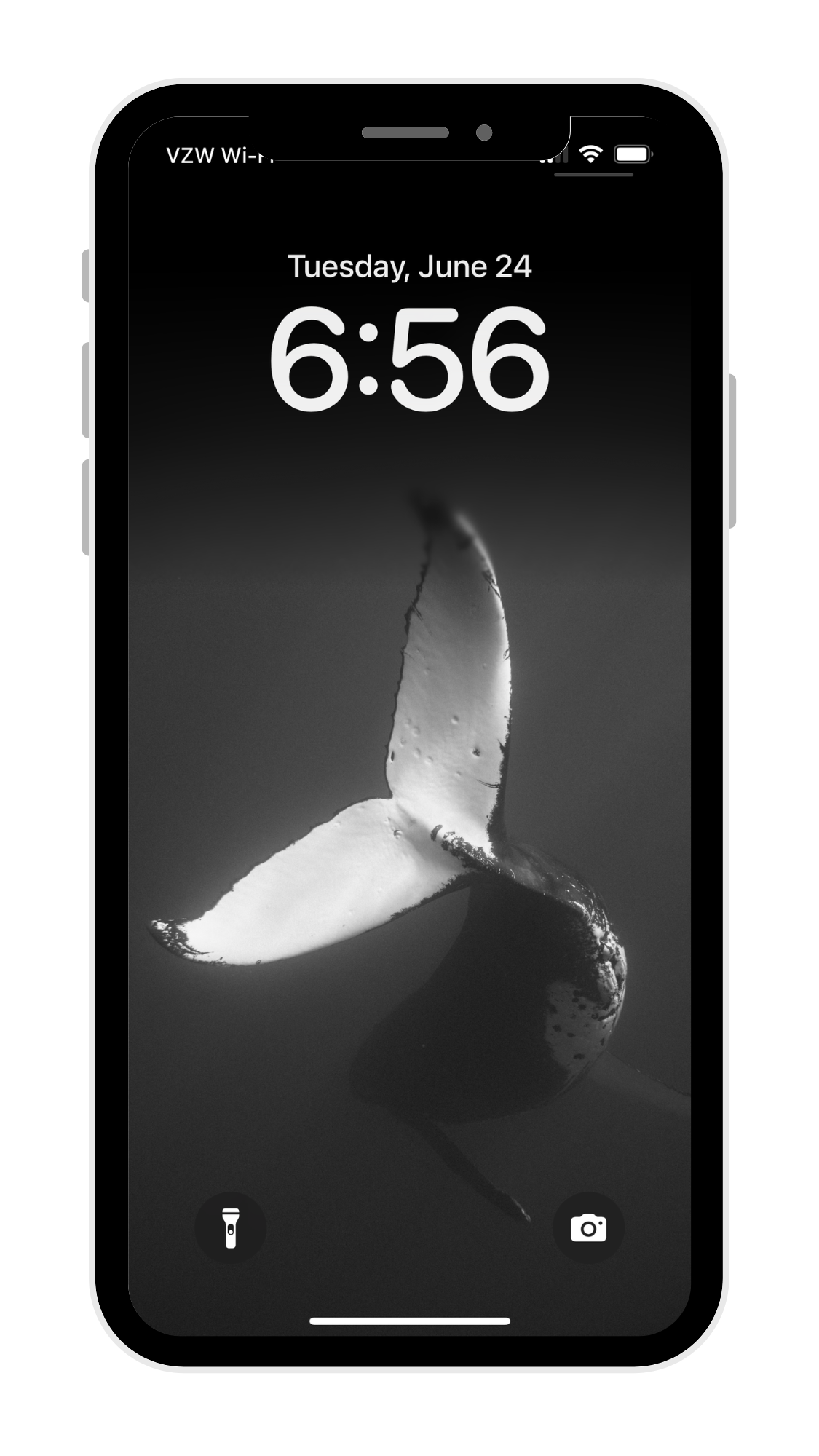 Black & White Whale Phone Wallpaper Pack - Eua '23 Collection