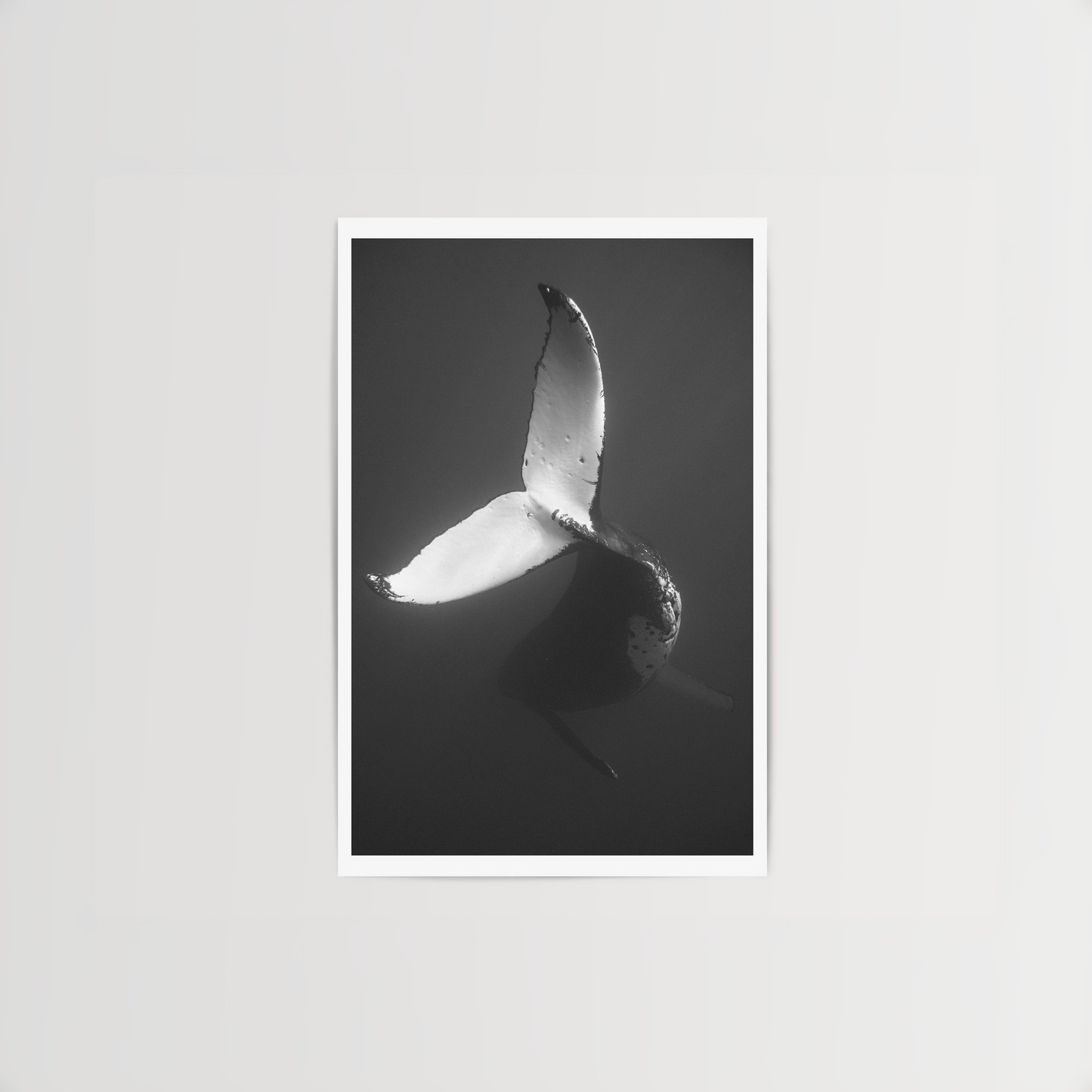 Descent