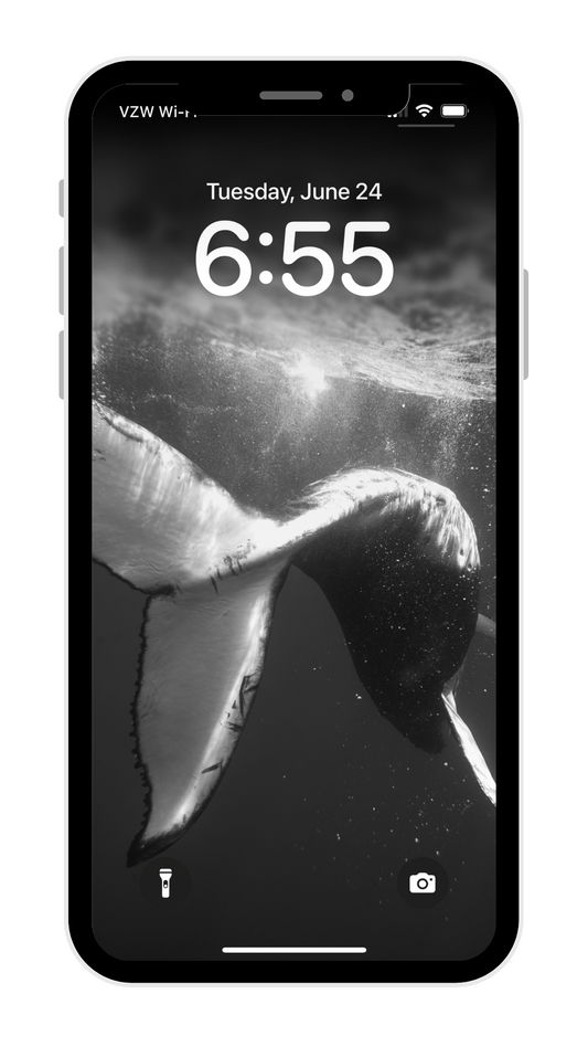Black & White Whale Phone Wallpaper Pack - Eua '23 Collection