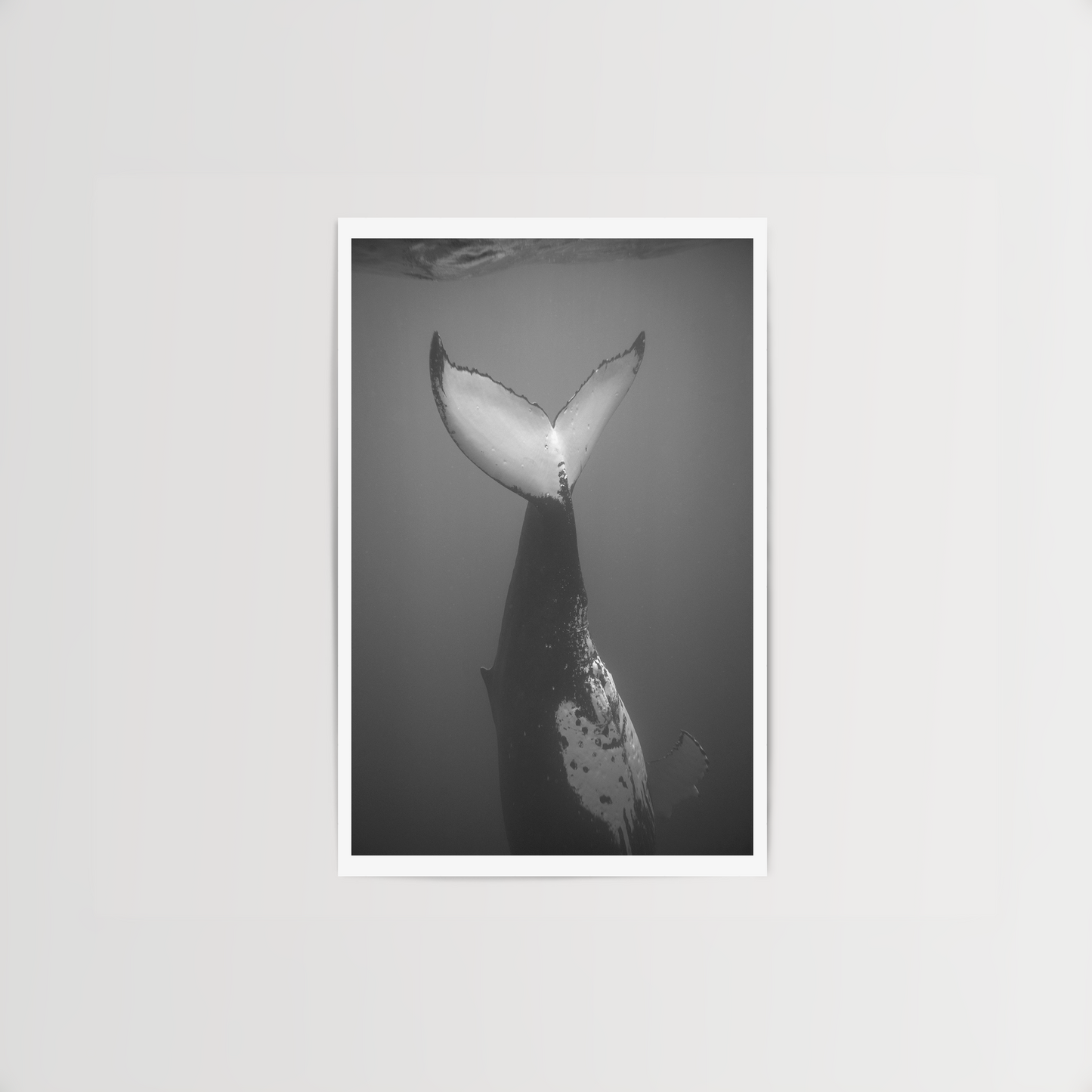 A Drop
